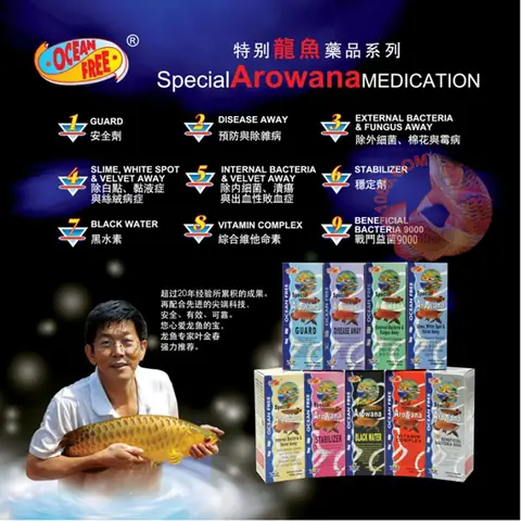 Hướng Dẫn Sử Dụng Chai Số 3 Thuốc Cá Rồng: Giải Pháp Cho Bệnh Vi Khuẩn & Nấm