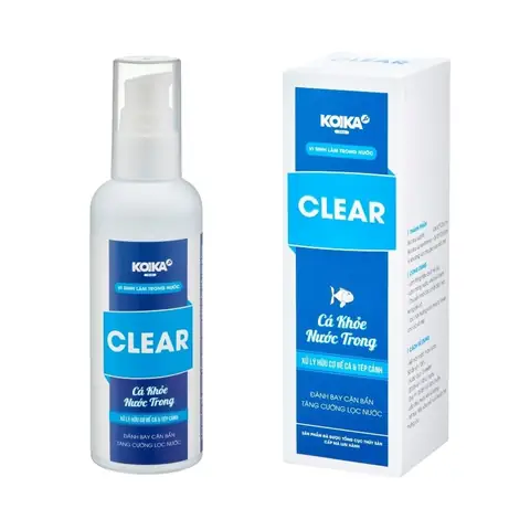 Sinh Bể Cá Koika Clear