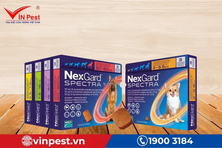 Thuốc Nexgard Spectra Trị Ve Rận, Xổ Giun, Ngừa Ghẻ Cho Chó (dạng Viên Nhai)