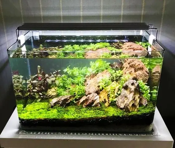 Làm Sạch Và Bảo Dưỡng Hệ Thống Lọc Làm Sạch Và Bảo Dưỡng Hệ Thống Lọc