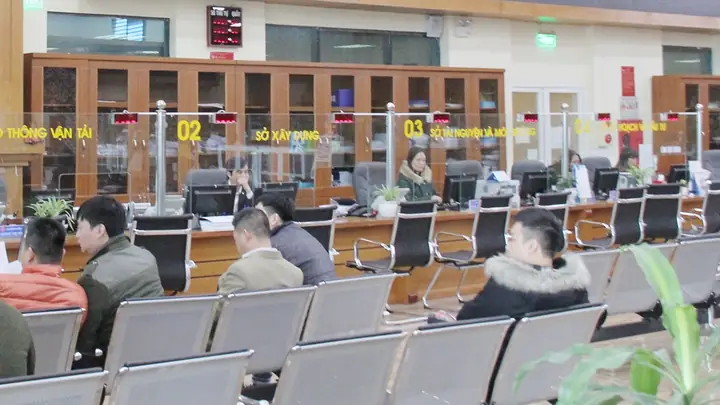 Thuốc Làm Cá Chết