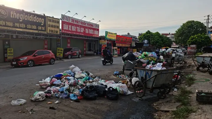 Thuốc Làm Cá Chết