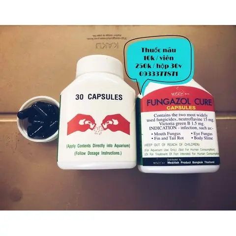 Thuốc Nâu Cho Cá: Cẩm Nang Toàn Tập Về Fungazol Cure Trị Bệnh Ngoài Da Thuốc Nâu Cho Cá: Cẩm Nang Toàn Tập Về Fungazol Cure Trị Bệnh Ngoài Da