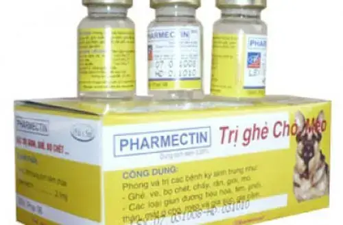 Thuốc Tiêm Ghẻ Cho Chó: Hướng Dẫn Toàn Diện Từ Chuyên Gia Thú Y