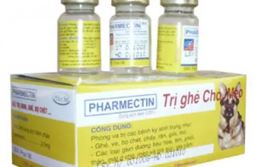 Thuốc Tiêm Ghẻ Cho Chó: Hướng Dẫn Toàn Diện Từ Chuyên Gia Thú Y