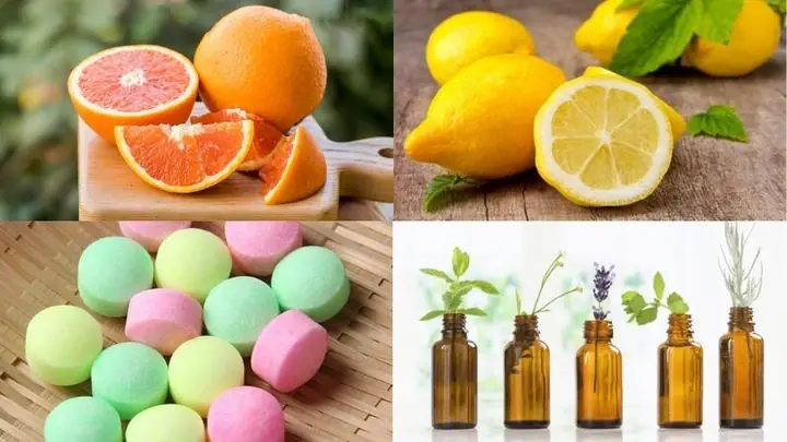 6cách Trị Ve Chó An Toàn, Tận Gốc