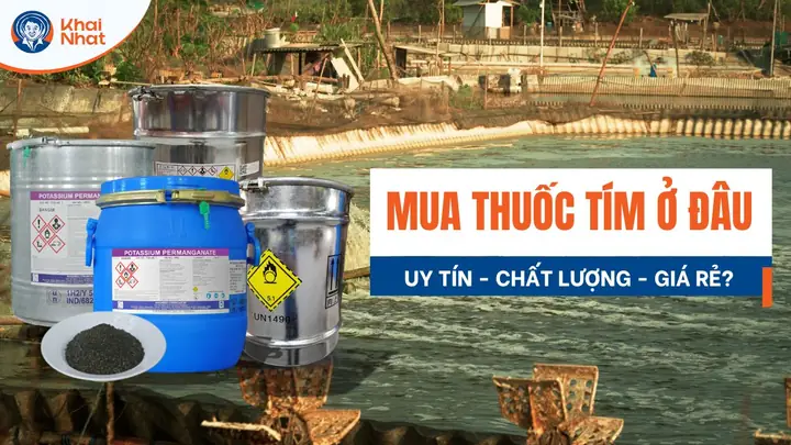 Thuốc Tím Mua Ở Đâu? Gợi Ý Địa Chỉ Cung Cấp Thuốc Tím Uy Tín - Khai ...