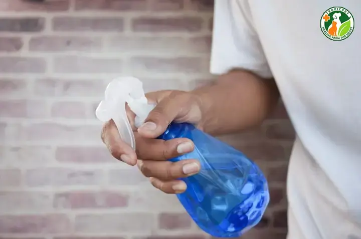 Làm Thế Nào Để Vệ Sinh Khu Vực Chó Ị Bậy Để Loại Bỏ Mùi?