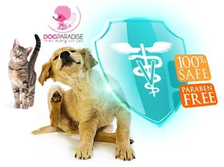 Đặc Điểm Nổi Bật