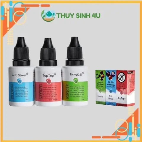 Stress Ở Cá: Dấu Hiệu, Nguyên Nhân Và Các Phương Pháp Trị Liệu Hiệu Quả