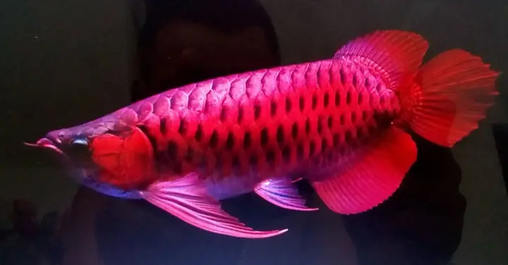 Lưu Ý Khi Sử Dụng Thuốc