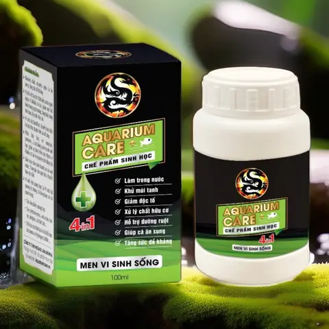 Tăng Cường Dinh Dưỡng