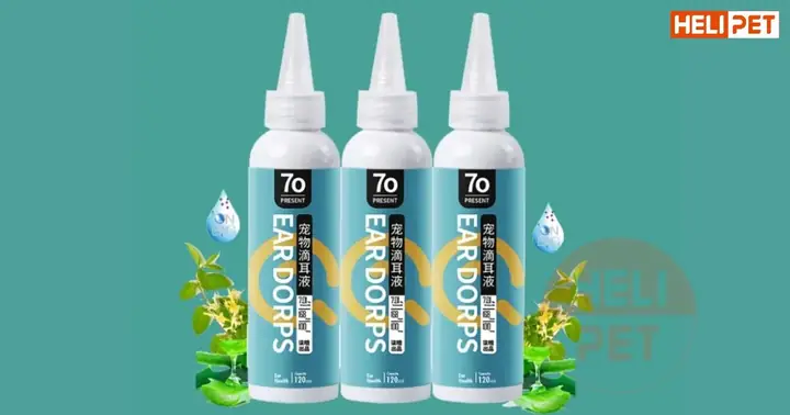 Nước Nhỏ Tai 70 Present