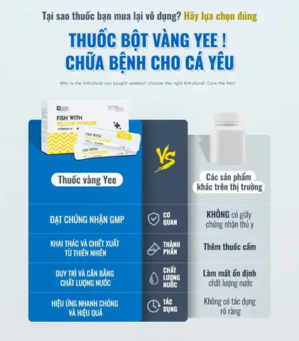 Lưu Ý Khi Sử Dụng Thuốc Vàngyeeyellow Powder: