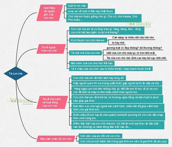 Sơ Đồ Tư Duytả Về Con Chó