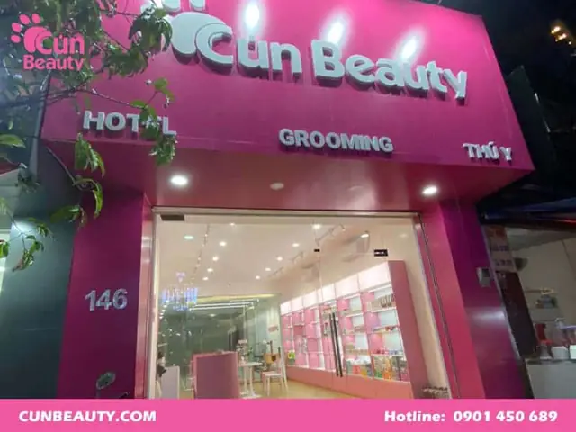 Cơ Sở Thú Y Chích Ngừa Dại Cho Cún Uy Tín Và Chuyên Nghiệp?