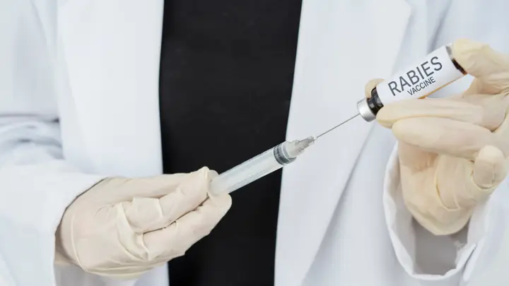 Tiêm Phòng Dại Trước Phơi Nhiễm
