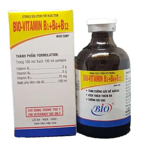 Hướng Dẫn Toàn Diện Về Tiêm Thuốc Bổ Cho Chó: Khi Nào Cần, Cách Thực Hiện Và Những Điều Cần Lưu Ý
