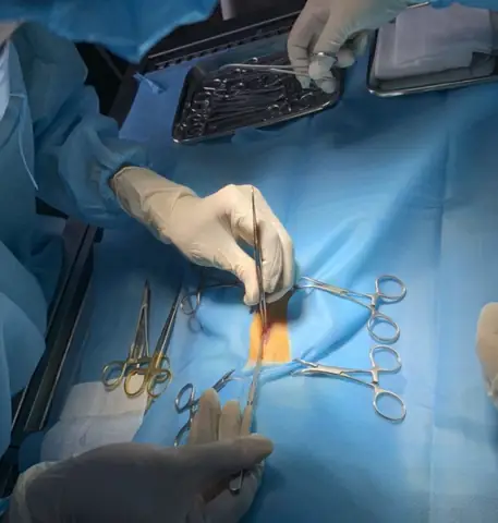 Bệnh Viện Thú Y Vpet’s – Nơi Tin Cậy Phẫu Thuật Triệt Sản Chó Cái An Toàn