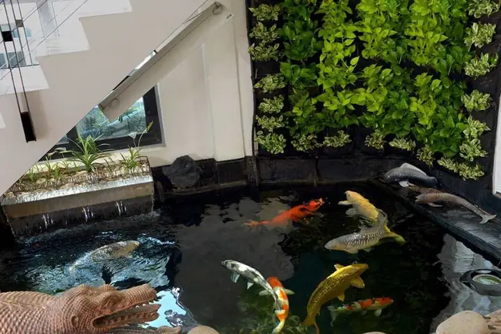 25 Máº«u Tiá»u Cáº£nh Há» Cã¡ Äáº¹p Nháº¥t Hiá»n Nay