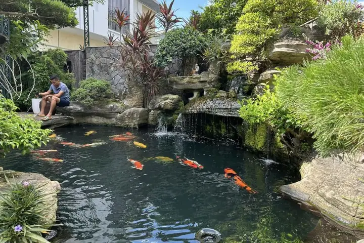 Chá»n Vá» Trã­ Phã¹ Há»£p Äá» Äáº·t Há» Cã¡