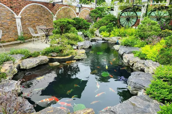 25 Máº«u Tiá»u Cáº£nh Há» Cã¡ Äáº¹p Nháº¥t Hiá»n Nay