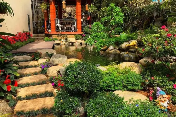 25 Máº«u Tiá»u Cáº£nh Há» Cã¡ Äáº¹p Nháº¥t Hiá»n Nay