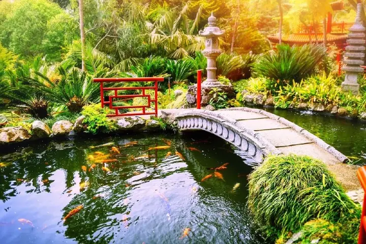 25 Máº«u Tiá»u Cáº£nh Há» Cã¡ Äáº¹p Nháº¥t Hiá»n Nay