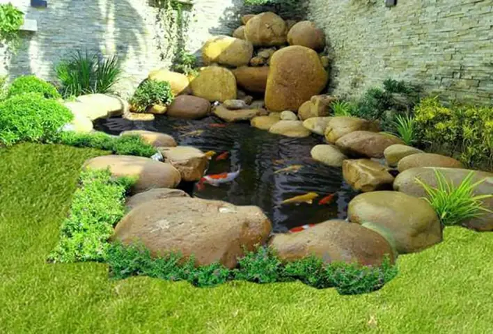 Ý Nghĩa Phong Thủy – Thu Hút Tài Lộc Và Cân Bằng Không Gian