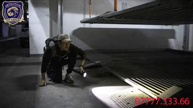 Phương Thức Tìm Kiếm Chó Mèo Thất Lạc Của Công Ty Uy Long