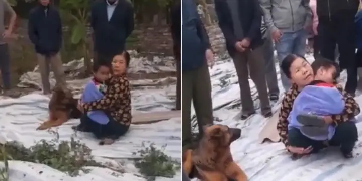 Người Dân Phát Hiện Bé Trai Đi Lạc, Chú Chó Ở Cạnh Bảo Vệ Suốt Đêm. Ảnh: Cắt Từ Clip (nguồn: Beat Hưng Yên)