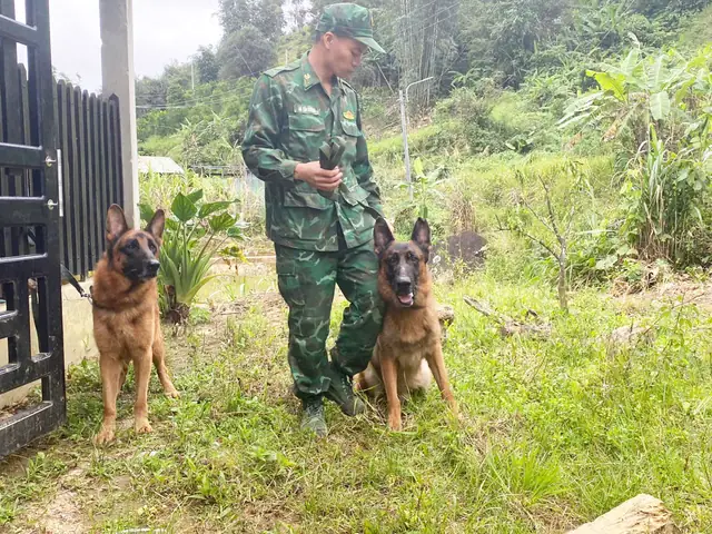 Không Mưa Vẫn Sạt Lở Núi Kinh Khủng Ở Đà Nẵngđọc Ngay Không Mưa Vẫn Sạt Lở Núi Kinh Khủng Ở Đà Nẵngđọc Ngay