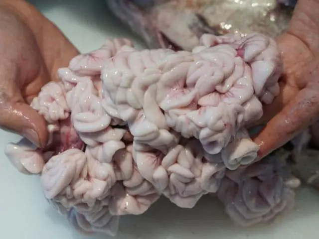 Tinh Hoàn Cá Đực: Đặc Sản Kinh Dị Được Lùng Mua Với Giá...trên Trời Tinh Hoàn Cá Đực: Đặc Sản Kinh Dị Được Lùng Mua Với Giá...trên Trời