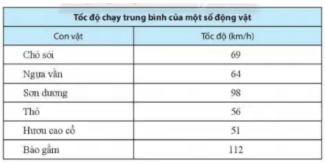 Tốc Độ Trung Bình Của Chó: Khoa Học Giải Đáp Và Những Điều Bạn Chưa Biết