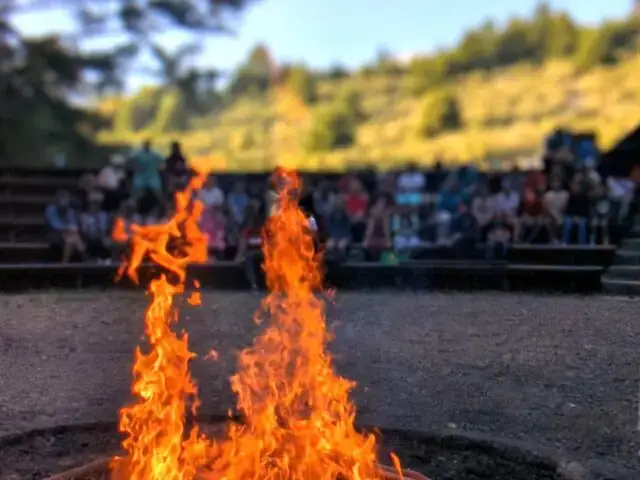 Trại Cá Giống Ao Sen: Thiết Lập Và Chăm Sóc Đúng Chuẩn ...