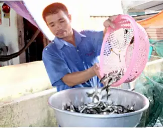 Đồng Nai: Vựa Cá Giống Sông Mây – Tạp Chí Thủy Sản Việt Nam Đồng Nai: Vựa Cá Giống Sông Mây – Tạp Chí Thủy Sản Việt Nam