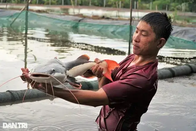 Hạn Chế Và Gợi Ý Cải Thiện