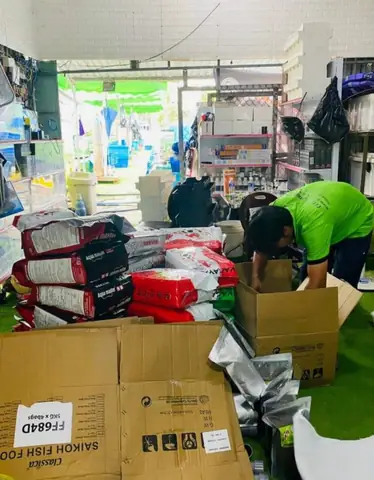 Trại Cá Koi Thanh Liêm Nơi Hội Tụ Tinh Hoa Giống Cá Koi Trại Cá Koi Thanh Liêm Nơi Hội Tụ Tinh Hoa Giống Cá Koi