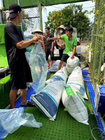 Trại Cá Koi Thanh Liêm Nơi Hội Tụ Tinh Hoa Giống Cá Koi Trại Cá Koi Thanh Liêm Nơi Hội Tụ Tinh Hoa Giống Cá Koi