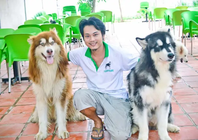 Trại Chó Bắc Kinh Tp.hcm: Những Điều Cần Biết Về Giống Chó Cảnh Được Yêu Thích