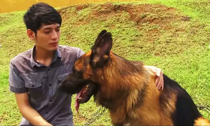 Trại Chó Becgie Sơn Tây