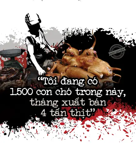 Bài 3: Bất Ngờ Ở Những Trại Chó Hàng Nghìn Con - Ảnh 1.