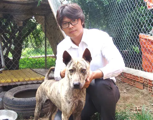 Trai Tre Quyet 'sam Soi' Tim Cho Duoc Gen Cho Phu Quoc Thuan Chung Hinh Anh 2 Trai Tre Quyet 'sam Soi' Tim Cho Duoc Gen Cho Phu Quoc Thuan Chung Hinh Anh 2