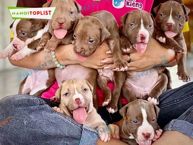 Thu-kieng-mytour Thu-kieng-mytour