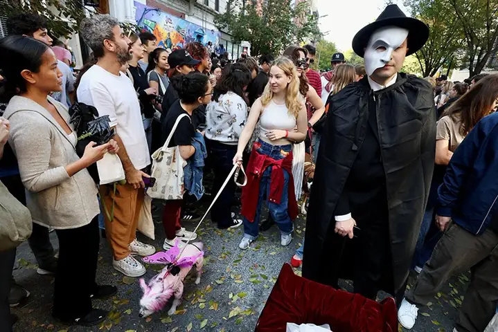 Hướng Dẫn Chi Tiết: Cách Chọn Và Thiết Kế Trang Phục Lân Cho Chó