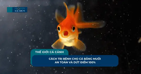 Cách Trị Bệnh Cho Cá Bằng Muối An Toàn Và Dứt Điểm 100% Cách Trị Bệnh Cho Cá Bằng Muối An Toàn Và Dứt Điểm 100%