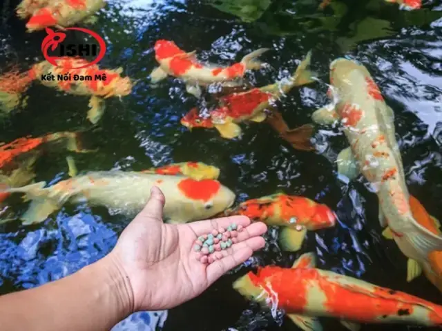 Tác Nhân Gây Bệnh Chính