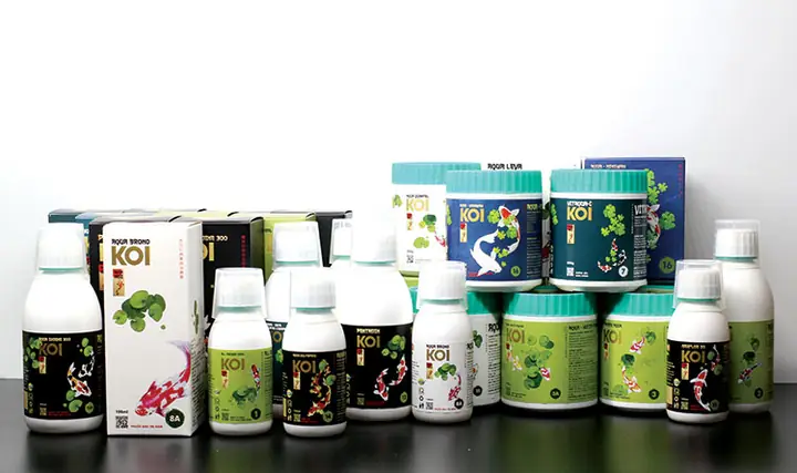 Cách Phòng, Trị Bệnh Rận Cá Trên Cá Koi Hiệu Quả Cách Phòng, Trị Bệnh Rận Cá Trên Cá Koi Hiệu Quả