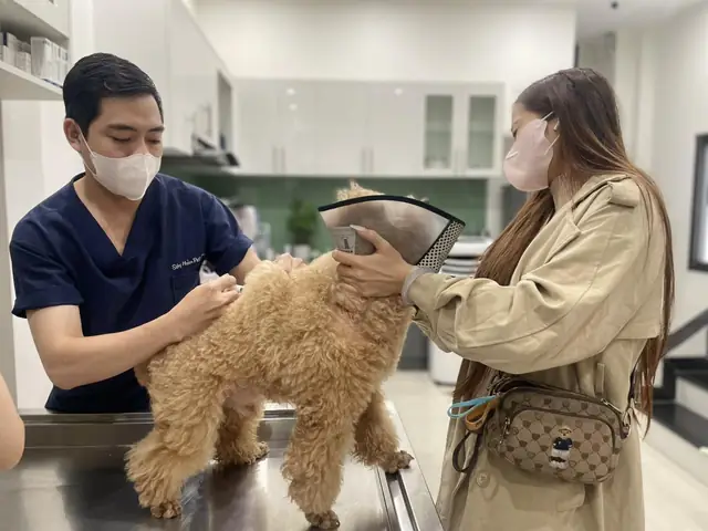 Điều Trị Bằng Thuốc Điều Trị Bằng Thuốc