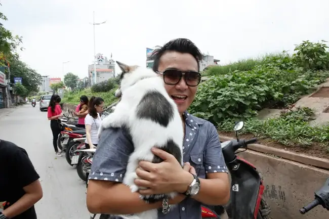 Triệt Sản Chó Mèo Miễn Phí